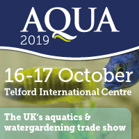 AQUA animated web banner