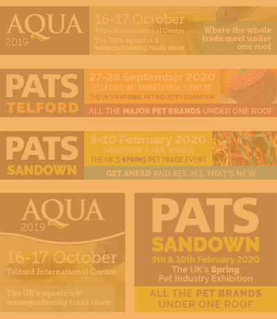 animated web banners