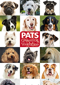 Exhibition wall graphic